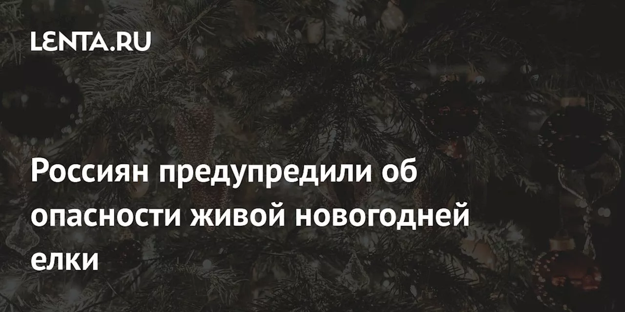 Россиян предупредили об опасности живой новогодней елки