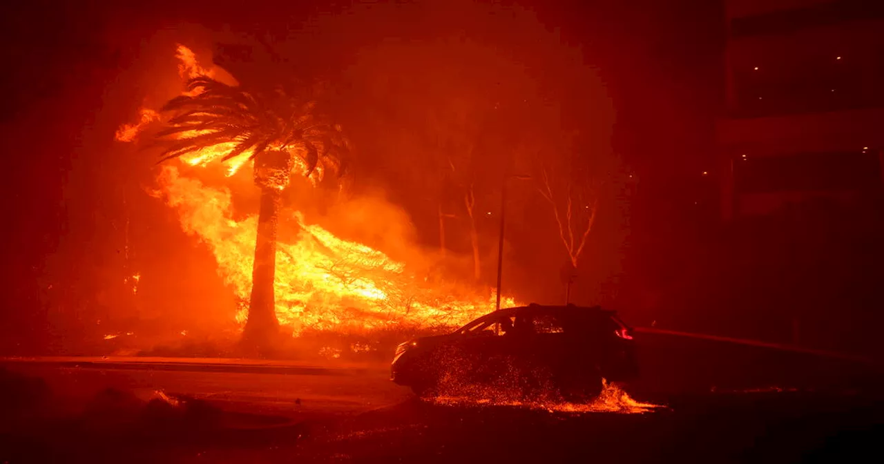 Etats-Unis : un incendie se propage rapidement à Malibu, près de 6 000 personnes évacuées