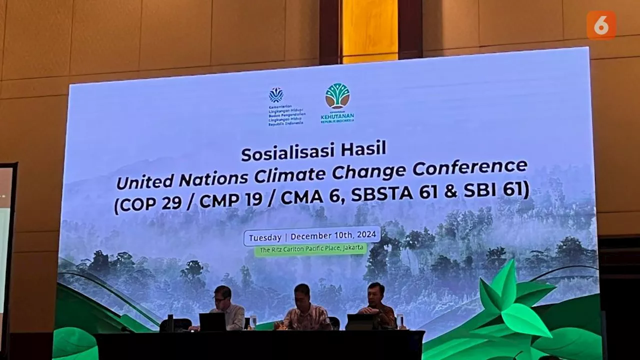 Oleh-oleh COP29 Azerbaijan, Indonesia Bakal Dapat Dana USD 300 Miliar pada 2025 untuk Atasi Perubahan Iklim