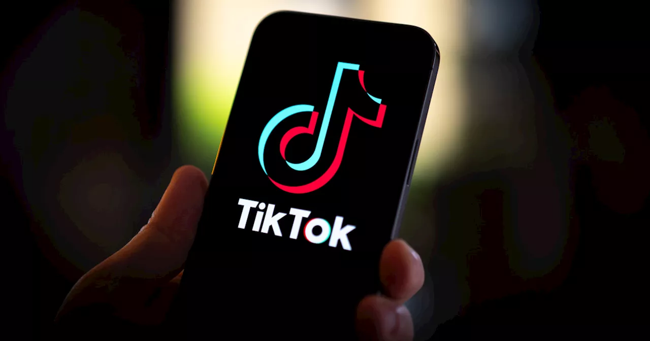 TikTok asks court to let Trump administration review the law that would ban the app