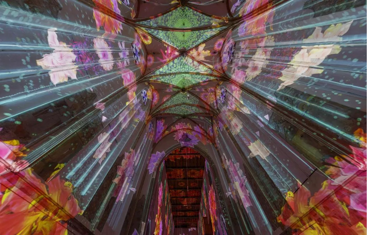 Lichtshow in der Regensburger Minoritenkirche: Enlightment hatte bereits 20.000 Besucher