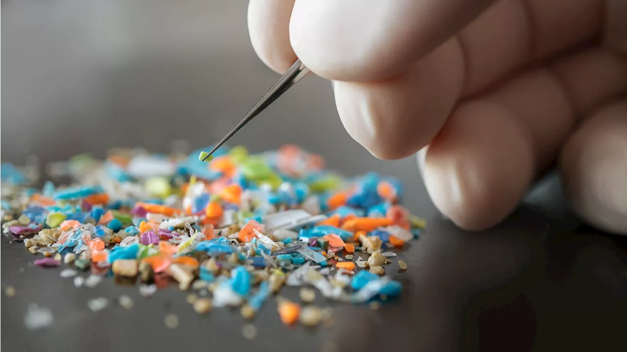 Microplastics detected in human blood linked to altered coagulation markers