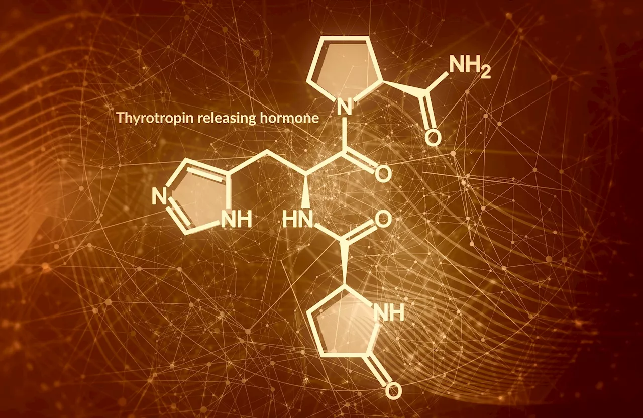 The brain’s hunger switch: TRH neurons hold the key to obesity therapies