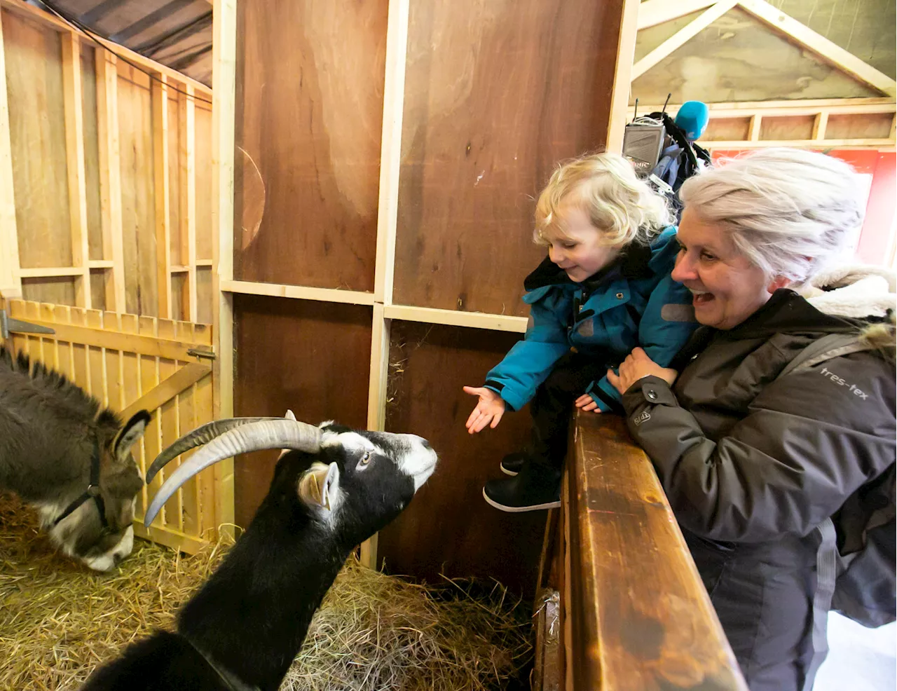 Dublin's live animal crib 'inappropriate in this day and age'