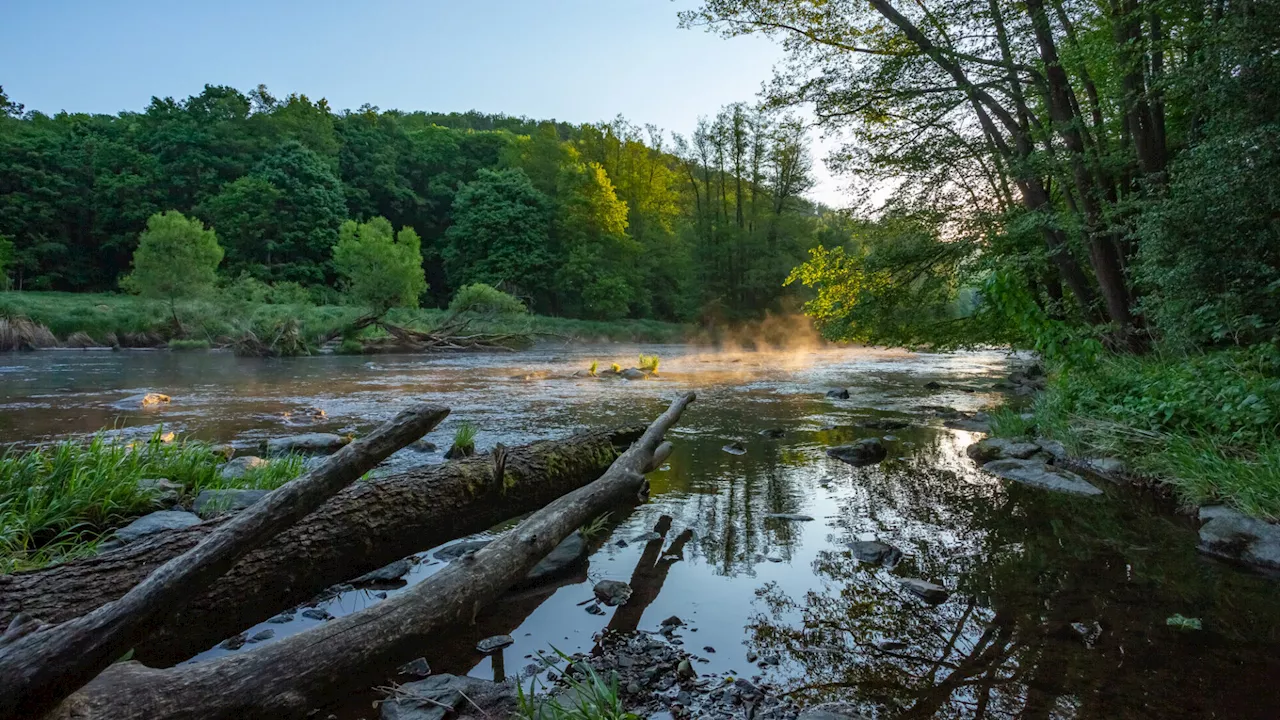 Dritter Nationalpark in Niederösterreich nimmt Gestalt an