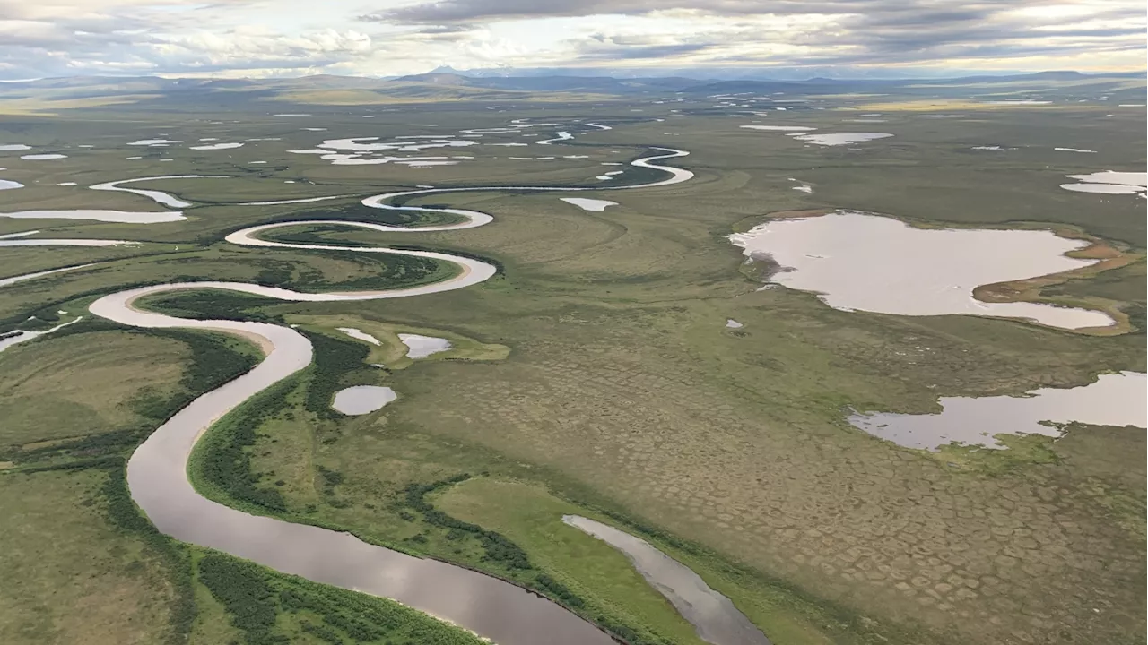 Arctic tundra now emits planet-warming pollution, federal report finds