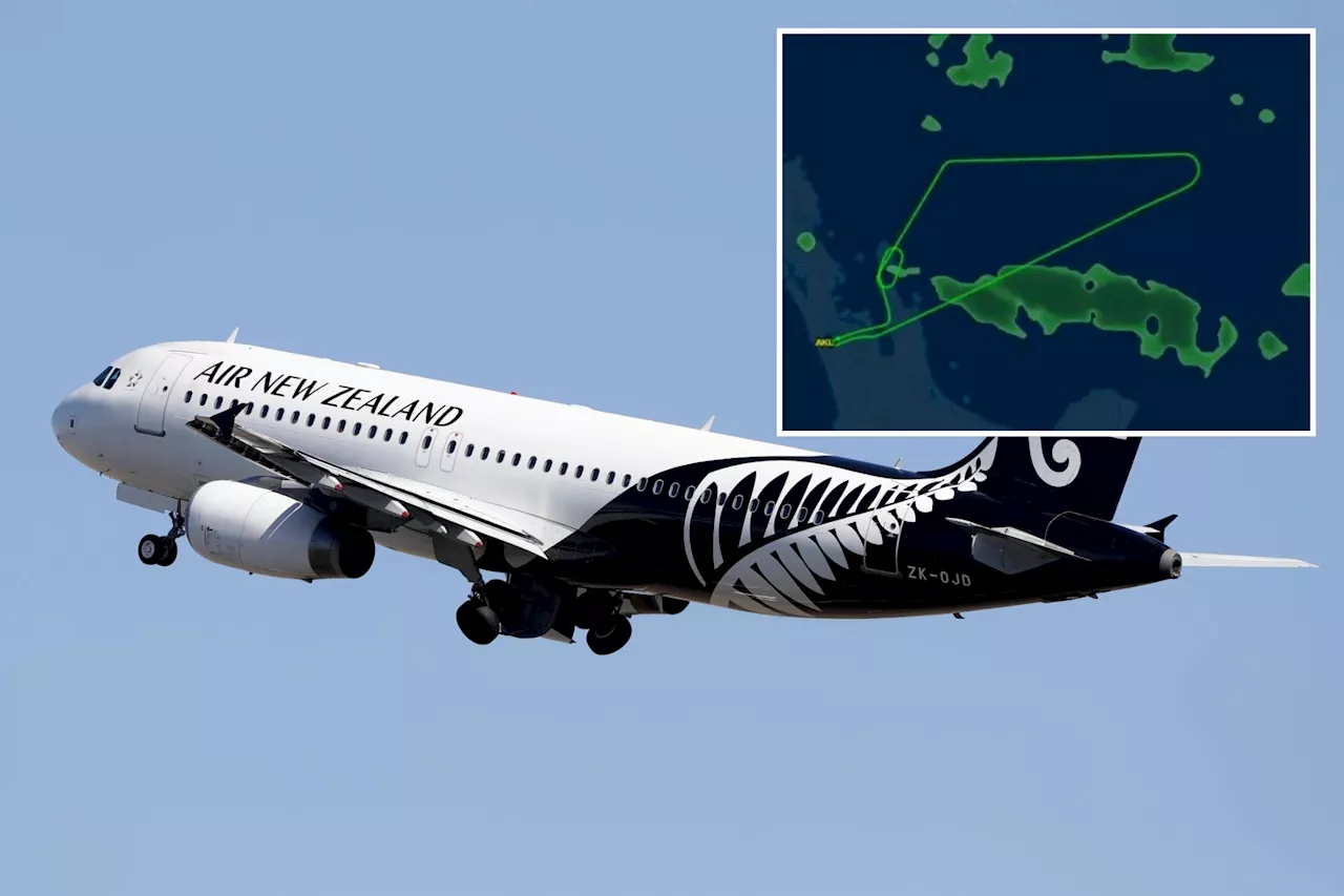 New Zealand plane struck by lightning forced to turn back after violent thunderstorms rock region