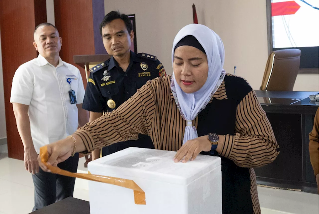 Udang Galah Deli Serdang Kini Bisa Dinikmati di Selandia Baru