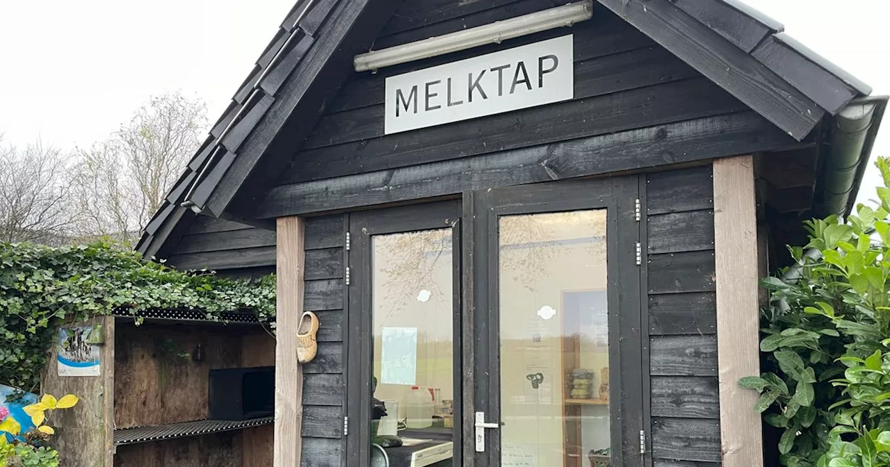 Drentse boeren worstelen met nieuwe regels voor melktappunt