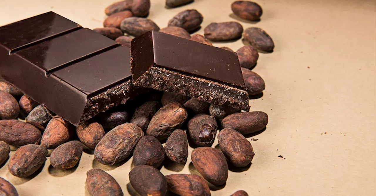 Cioccolato di Modica Igp, più poteri al Consorzio che punta al cacao locale