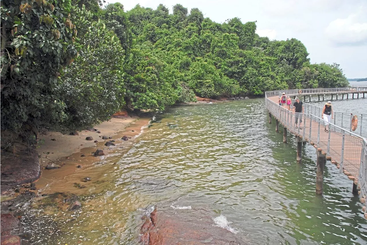 Gorgeous trails and vistas to explore in cities around Asia, including one in KL