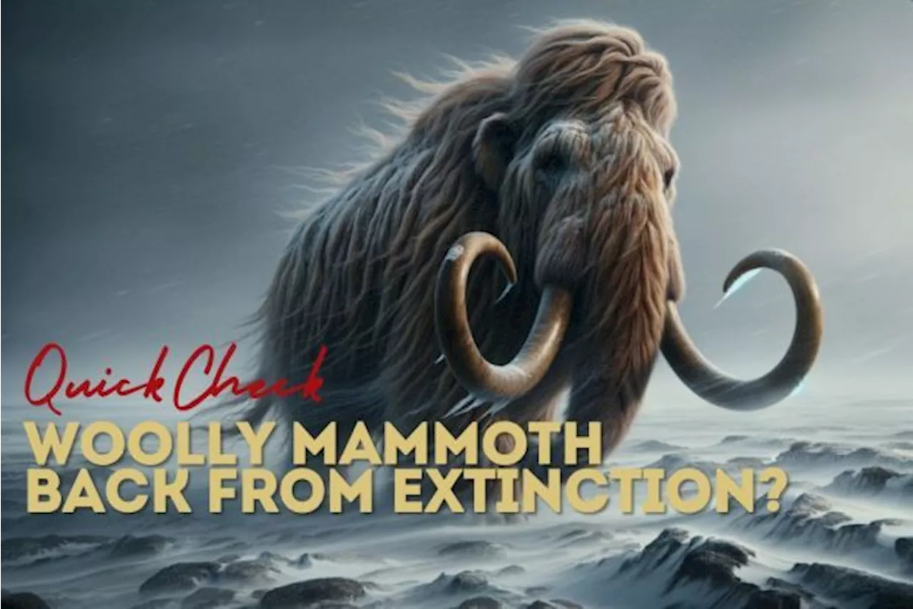 QuickCheck: Is the Woolly Mammoth really coming back from extinction?