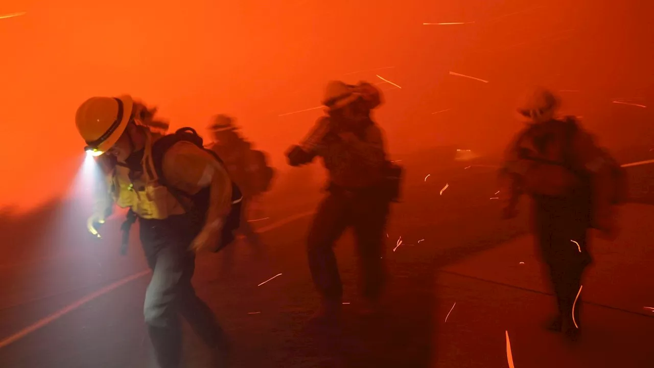 Brände: Waldbrand in Malibu breitet sich rasch aus