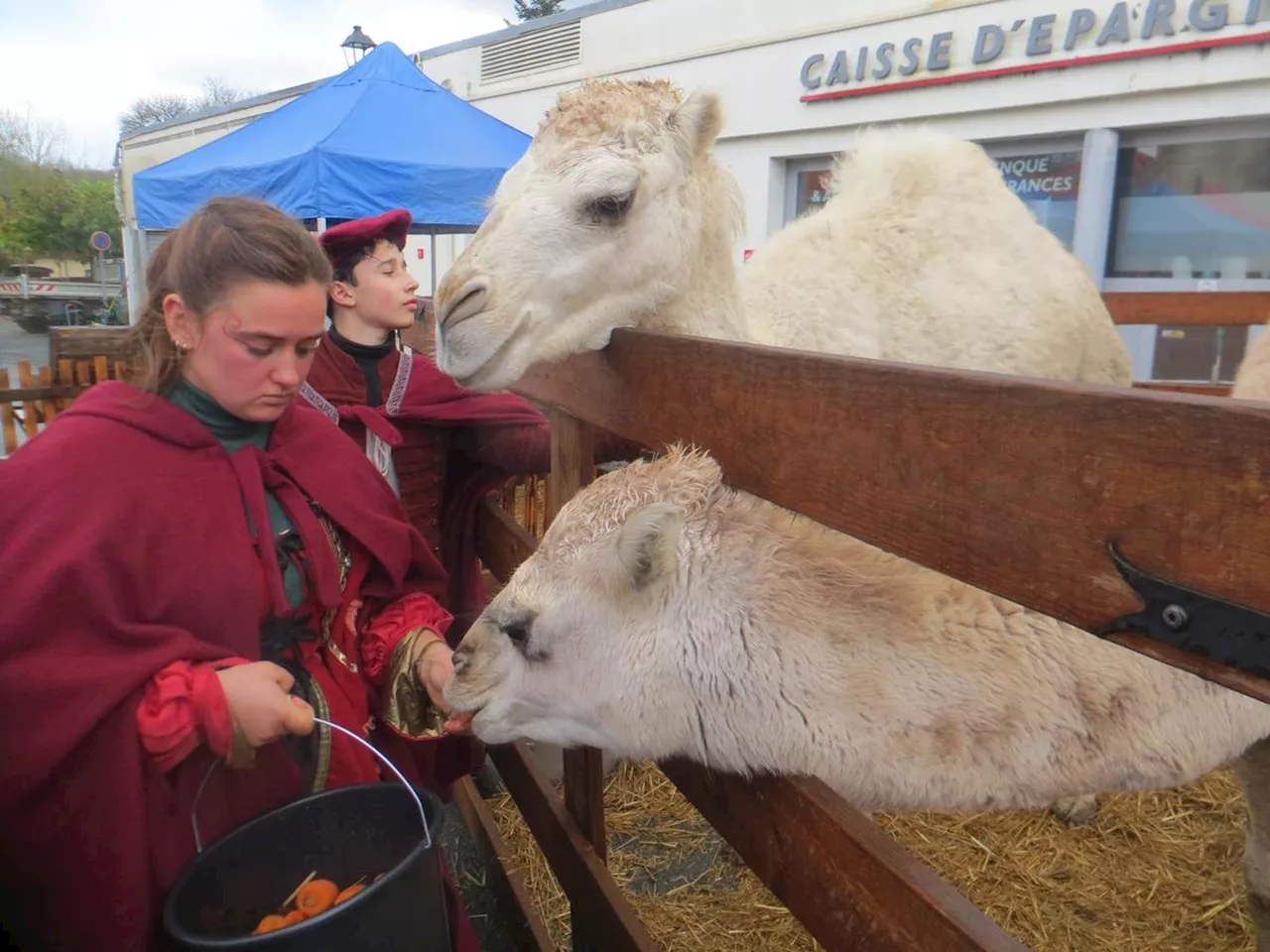 La Brède : une foire animée par des jeux traditionnels et des animaux de la ferme