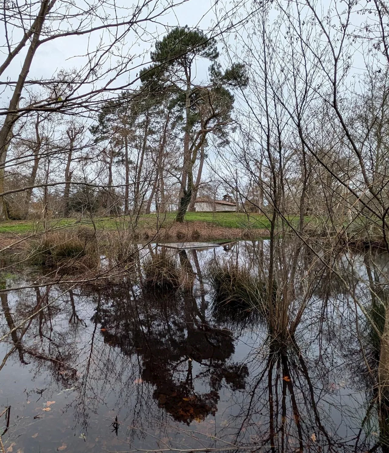 Saugnac-et-Muret : le « Miroir d’horizon » vient enrichir la Forêt d’art contemporain, à la chapelle Saint-Roch