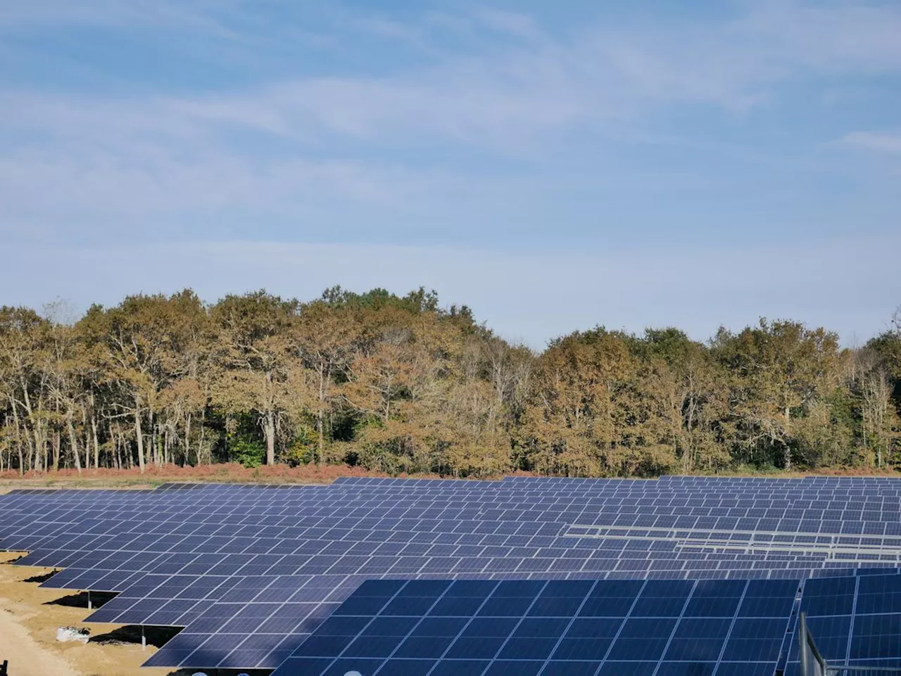 Vive la Forêt s’inquiète du développement du photovoltaïque dans le Médoc