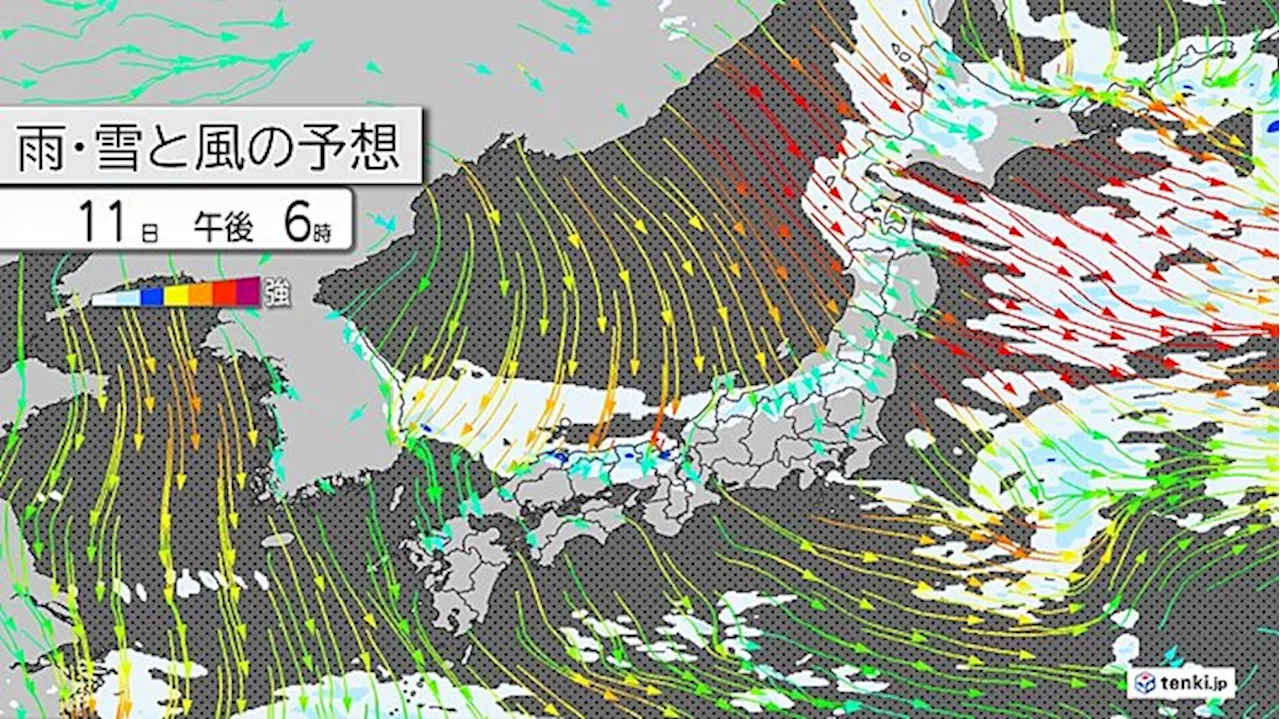 11日 日本海側は雪や雨 北日本は大雪も 太平洋側は晴天 各地で冬の寒さが続く(気象予報士 青山 亜紀子 2024年12月11日)