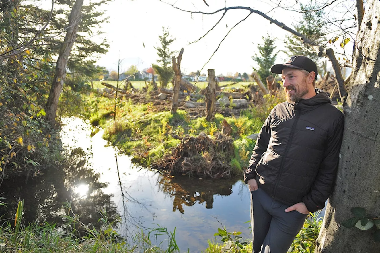 VIDEO: Chum salmon make triumphant return to B.C. creek for 1st time in 75 years