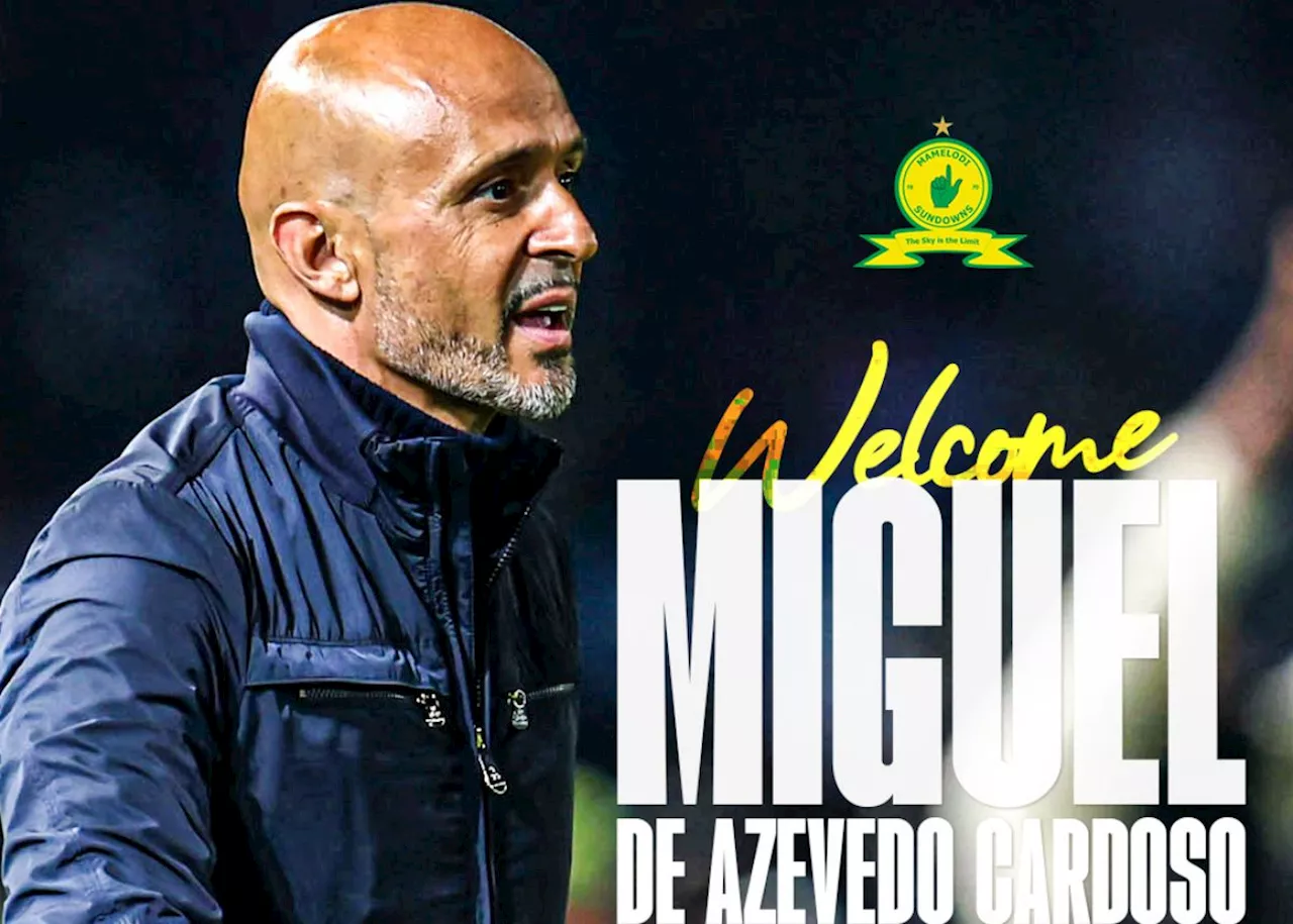 Official: Sundowns announce Cardoso to replace Mngqithi