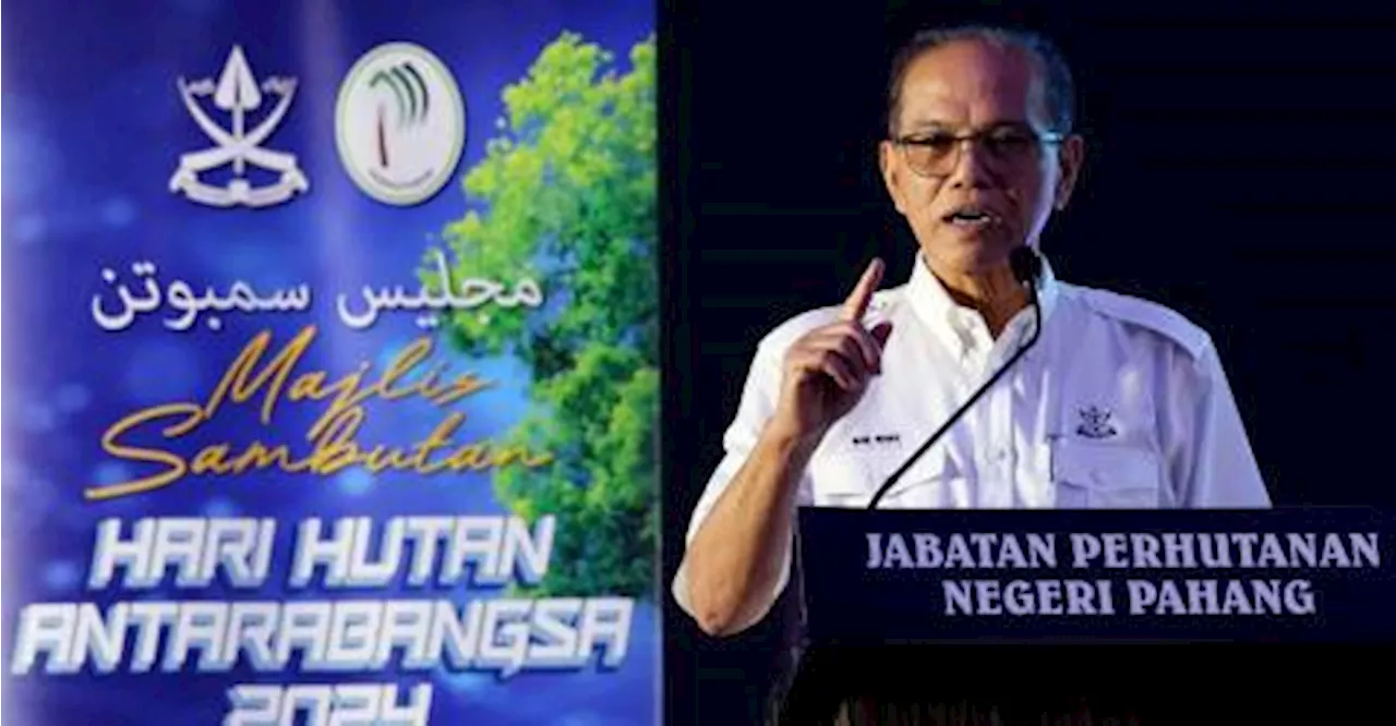 Pahang’s GDP outperforms nation, job guarantee programmme boosts youth employment