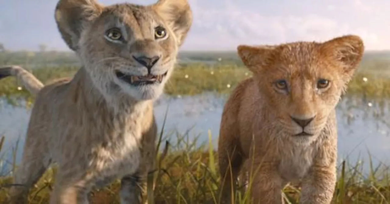 ‘Realmente buena’ y ‘La animación es increíble’: Así son las primeras reacciones a ‘Mufasa', precuela de 'El Rey León'