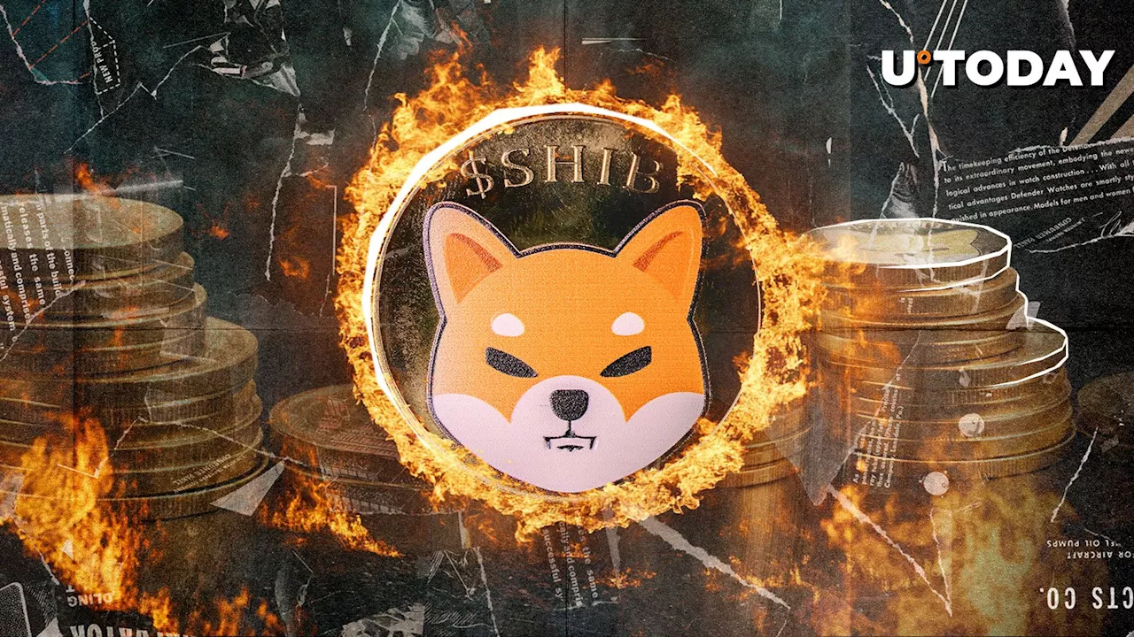 Shiba Inu Torches 51,763,782 SHIB as Burn Rate Soars 1,068%