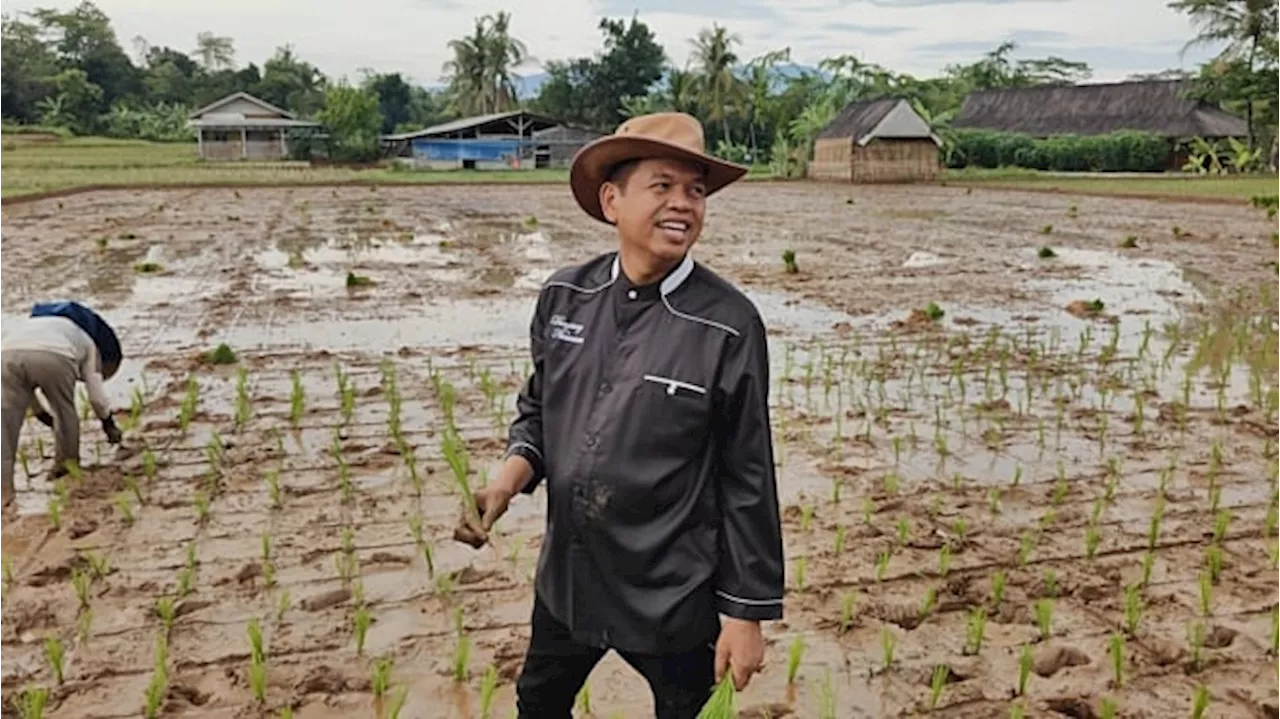 Ditetapkan KPU jadi Pemenang Pilkada Jawa Barat, Dedi Mulyadi Minta Tidak Ada Euforia