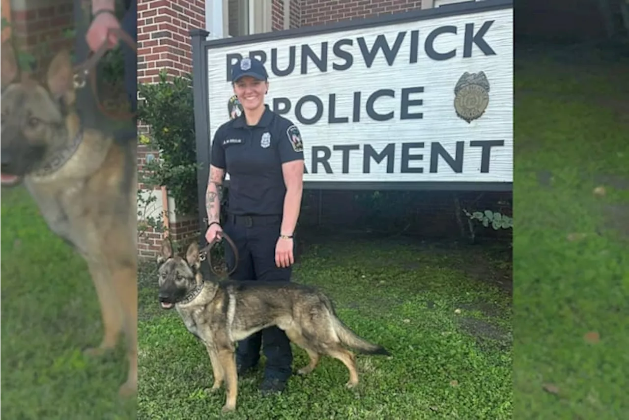 Vote Now: Brunswick Police Department asks for help naming new K-9 officer