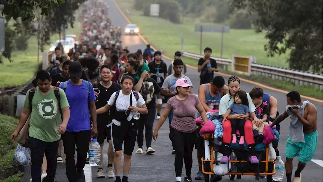 Experts testify on potential harm of Trump's immigration plan at Senate Judiciary hearing