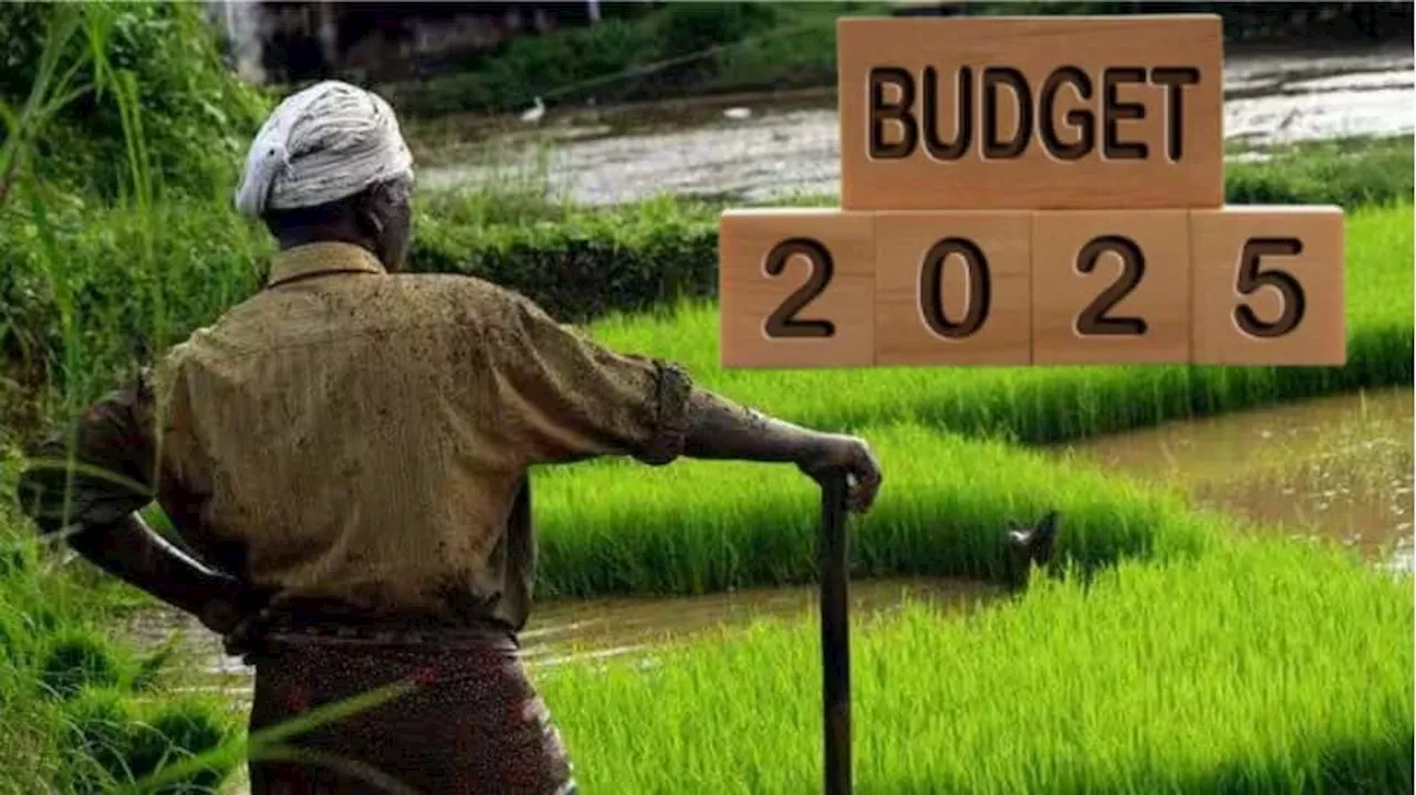 Budget 2025: விவசாயிகளின் முக்கிய கோரிக்கைகள் இவைதான்... செவி சாய்க்குமா அரசு?