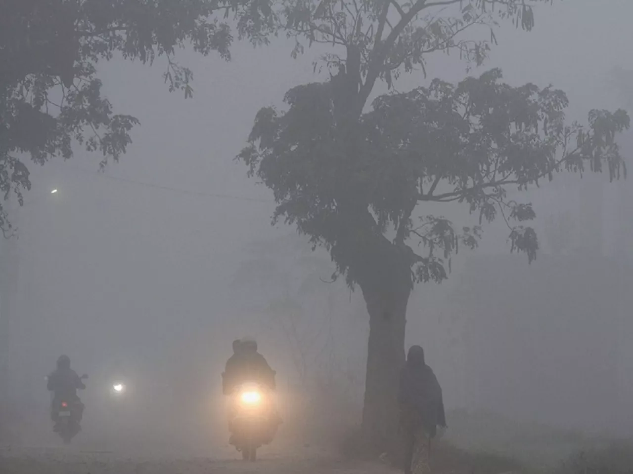 Maharashtra Weather News : मुंबई, महाराष्ट्रासह देशात रेकॉर्ड ब्रेक थंडी; तापमानाचा निच्चांकी आकडा पाहूनच दातखिळी बसेल