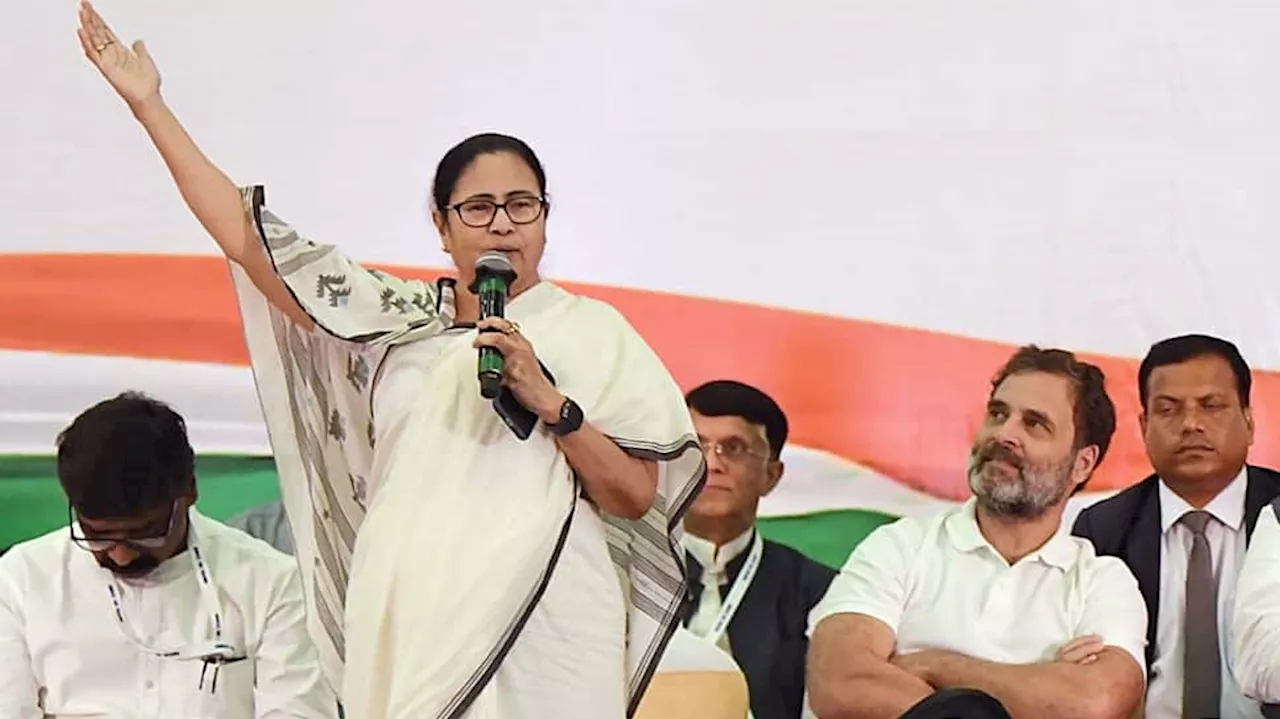 Time For Rahul Gandhis Congress To Step Aside? Voices For Mamata To Lead INDIA Bloc Grow Louder