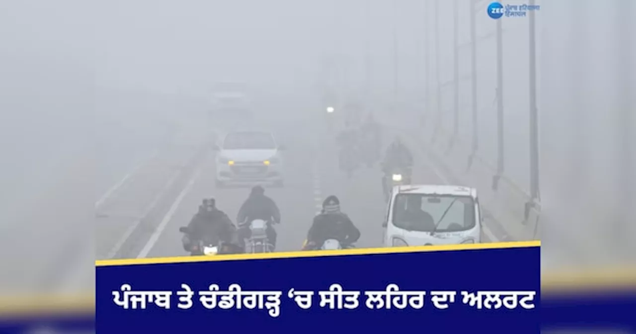 Weather Update: ਪੰਜਾਬ ਤੇ ਚੰਡੀਗੜ੍ਹ ਵਿੱਚ ਧੁੰਦ ਤੋਂ ਬਾਅਦ ਸੀਤ ਲਹਿਰ ਦਾ ਅਲਰਟ! ਹੁਣ ਪਵੇਗੀ ਕੜਾਕੇ ਦੀ ਠੰਡ