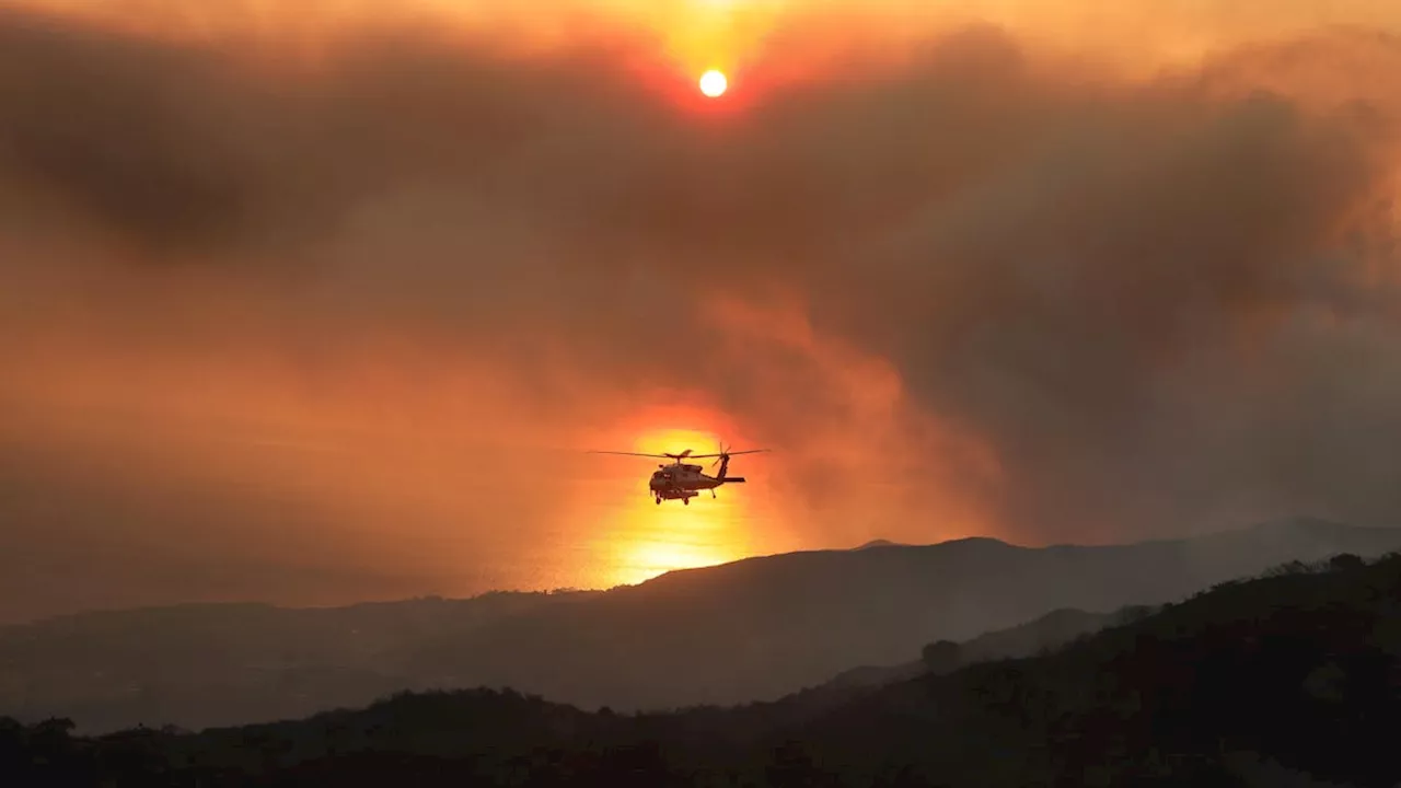 Cher flieht in Malibu mit Haustieren vor Waldbrand