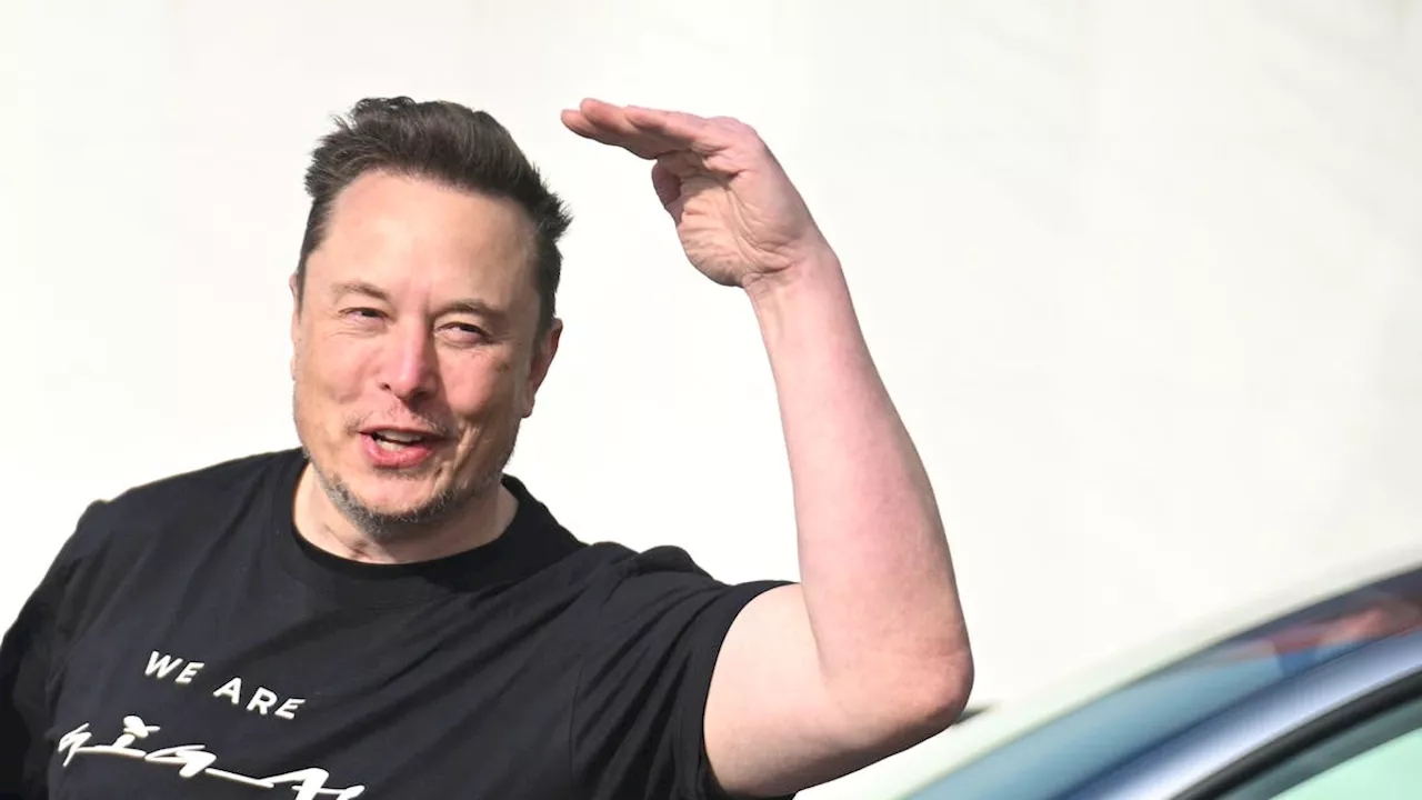 Elon Musk: Vermögen auf 440 Milliarden Dollar angestiegen