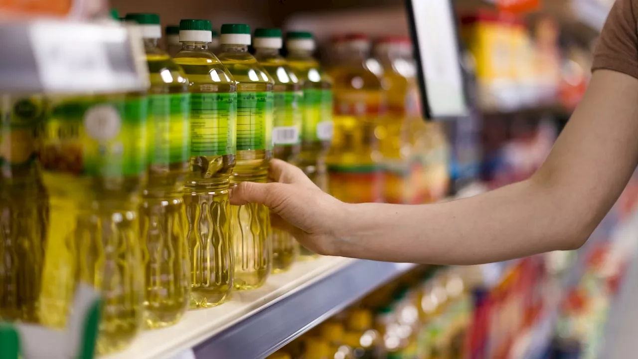 What to know about seed oils: Myths debunked and recommendations