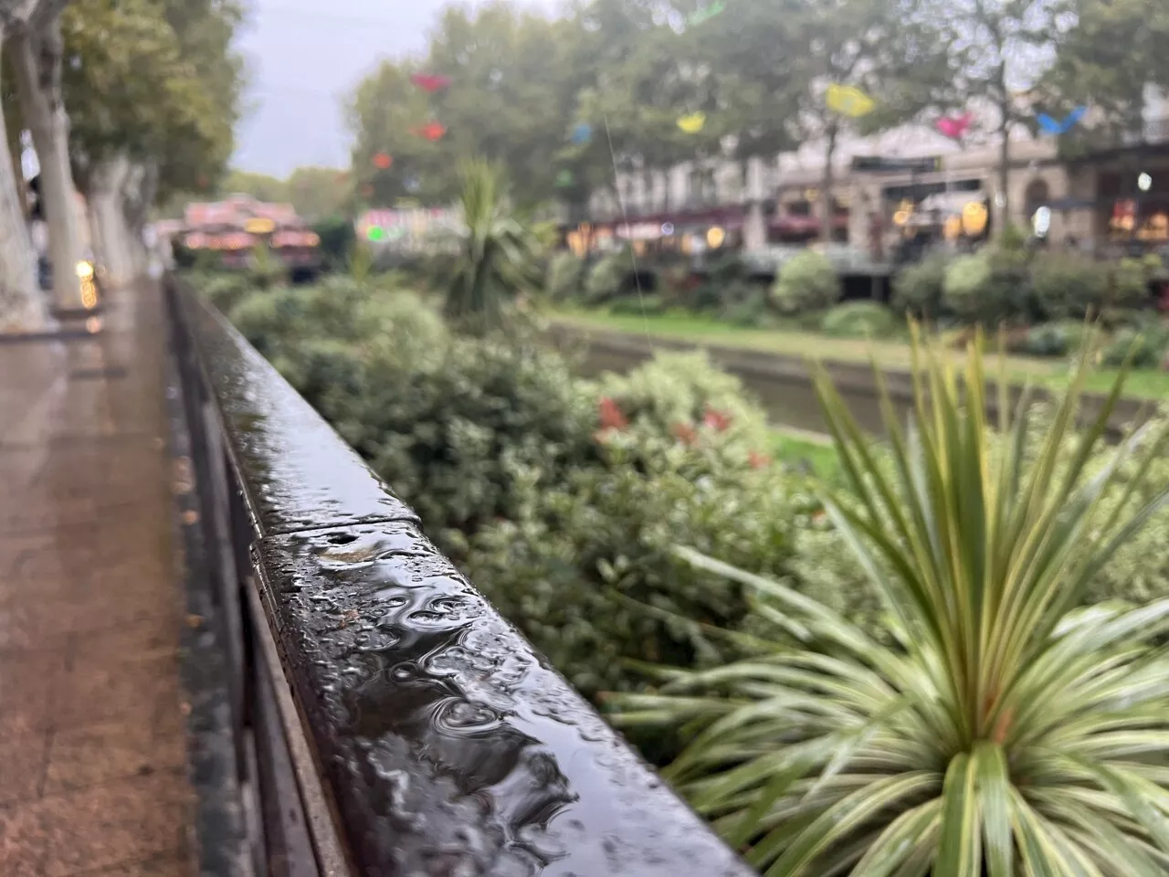 La pluie et la neige de retour dans les Pyrénées-Orientales : ça pourrait durer quelques jours