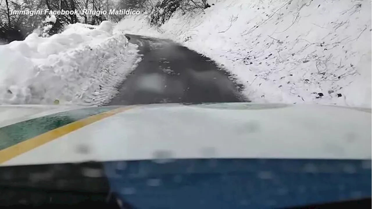 Capriolo cade da un dirupo e resta bloccato in strada tra la neve nel Reggiano