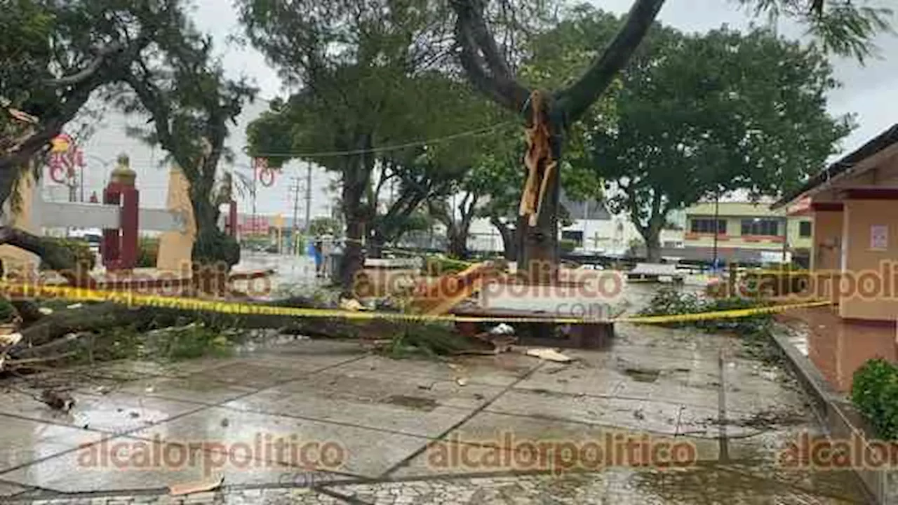 Sin graves afectaciones en Coatzacoalcos por “norte”