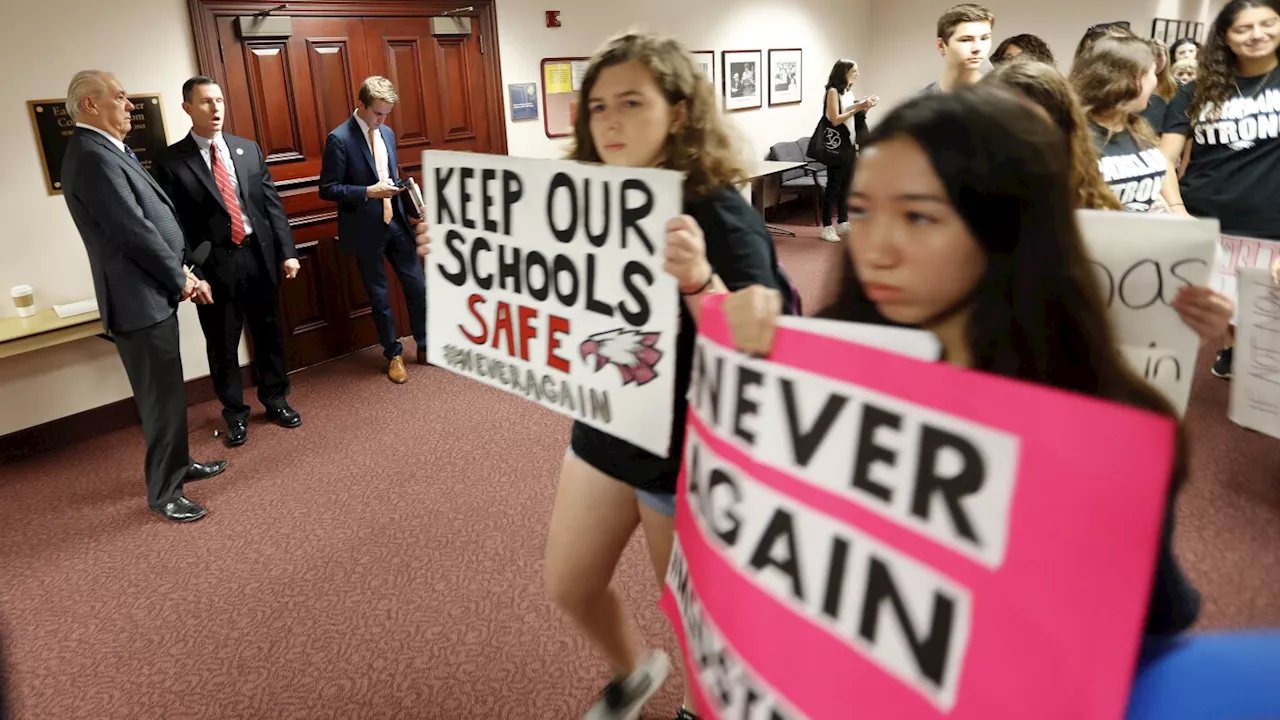 Florida lawmakers propose rolling back gun control laws passed after Parkland shooting