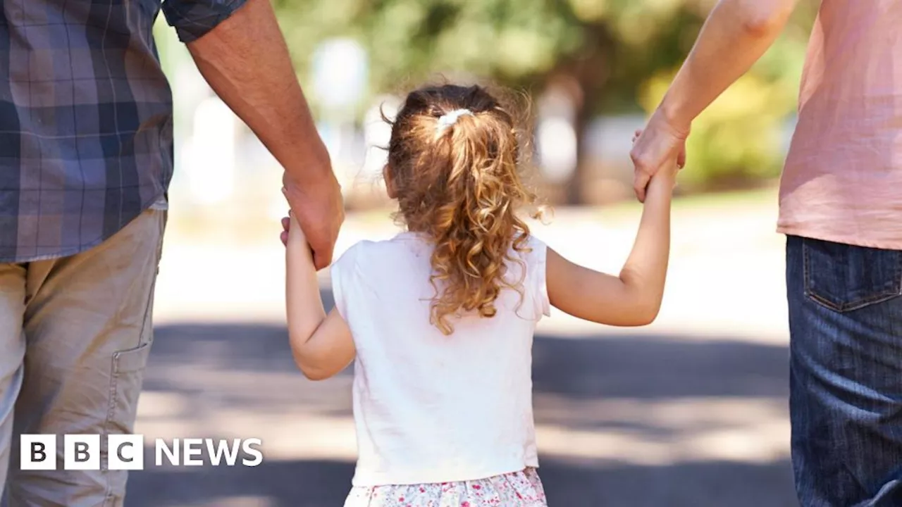 Family courts get new guidance on 'parental alienation' in family court battles