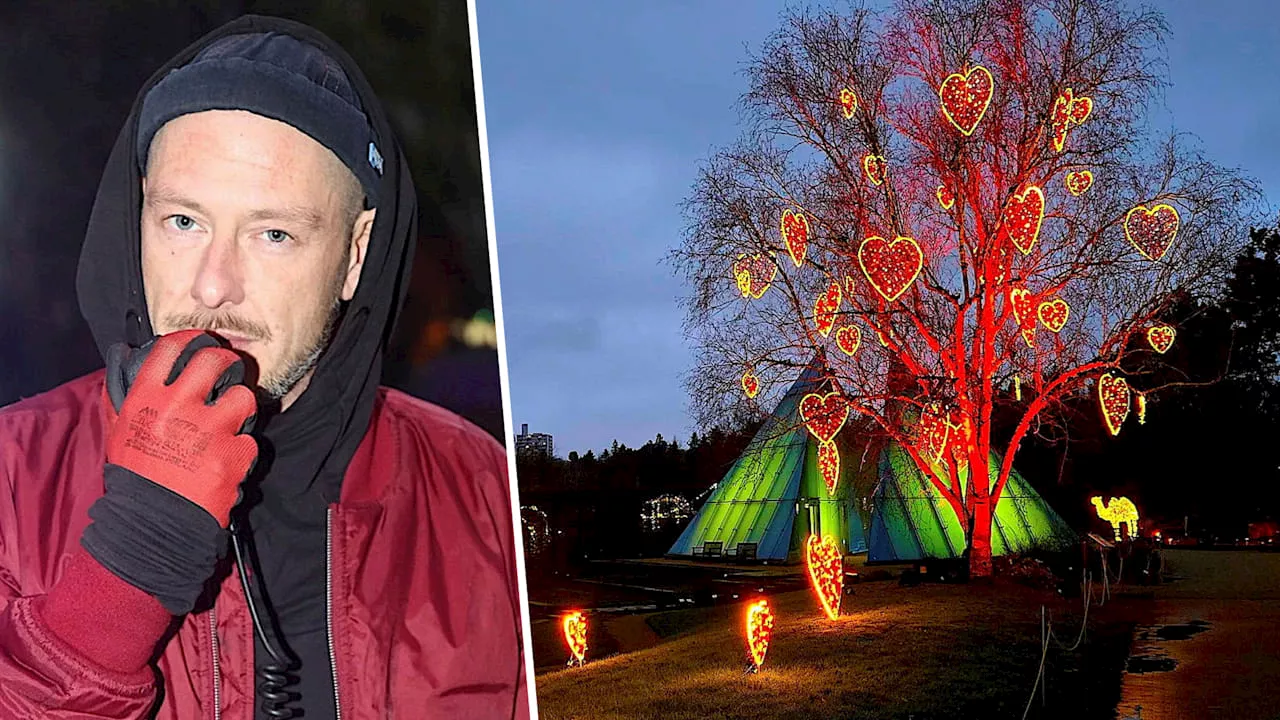 Christmas Garden in Hamburg: Ich bin Chef von einer Million Lichter