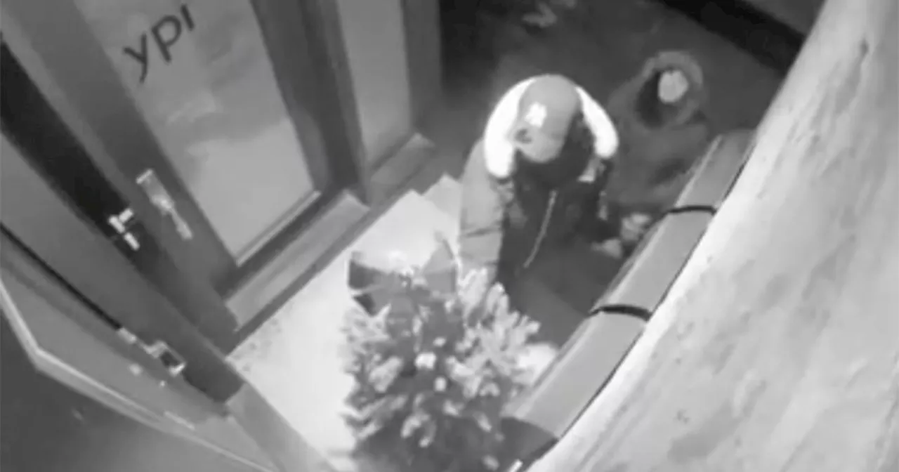 Porch pirates in Toronto are now stealing Christmas trees and decorations