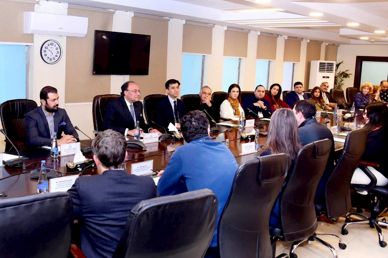 Finance Minister Aurangzeb meets foreign investors, professionals