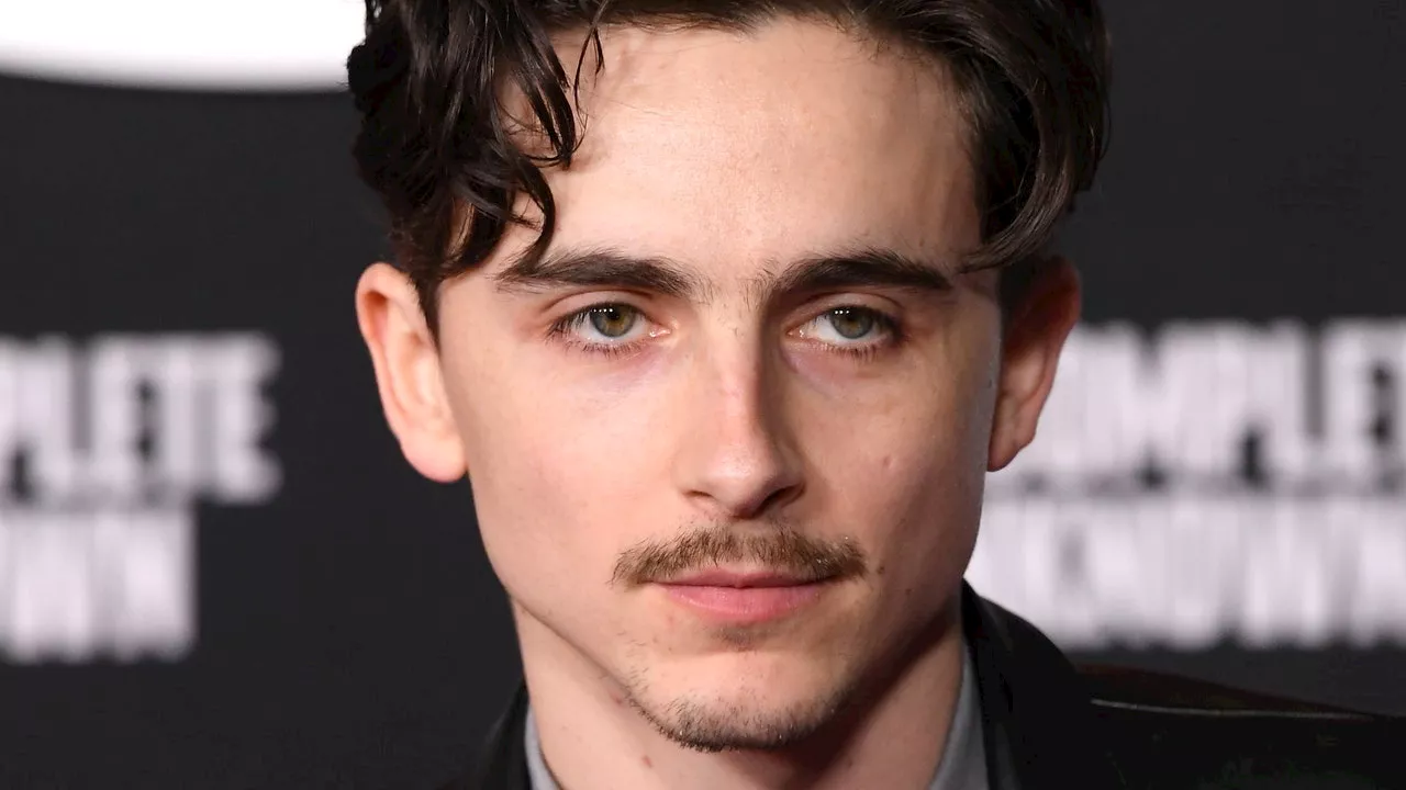 Please Hold Space For Timothée Chalamet’s Little Moustache