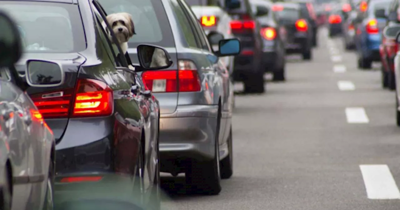 Atención CONDUCTORES: estará prohibido CIRCULAR con estos COCHES a partir del 2025