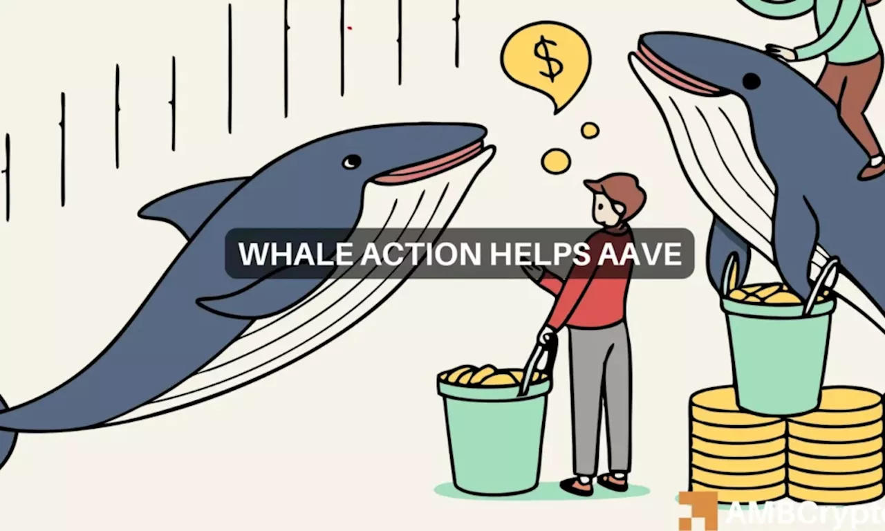 Here’s how and why AAVE’s whales could push altcoin to $300