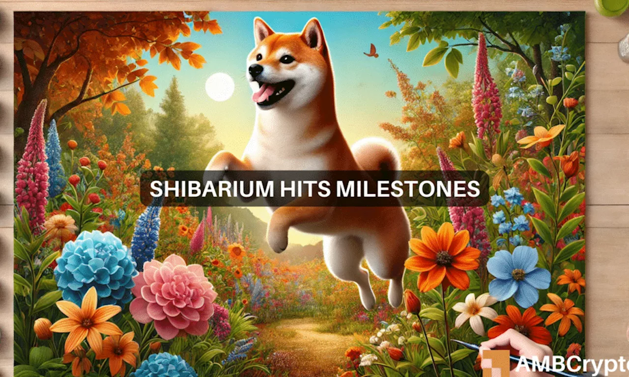 Shiba Inu milestone – Shibarium transactions reach $600 mln