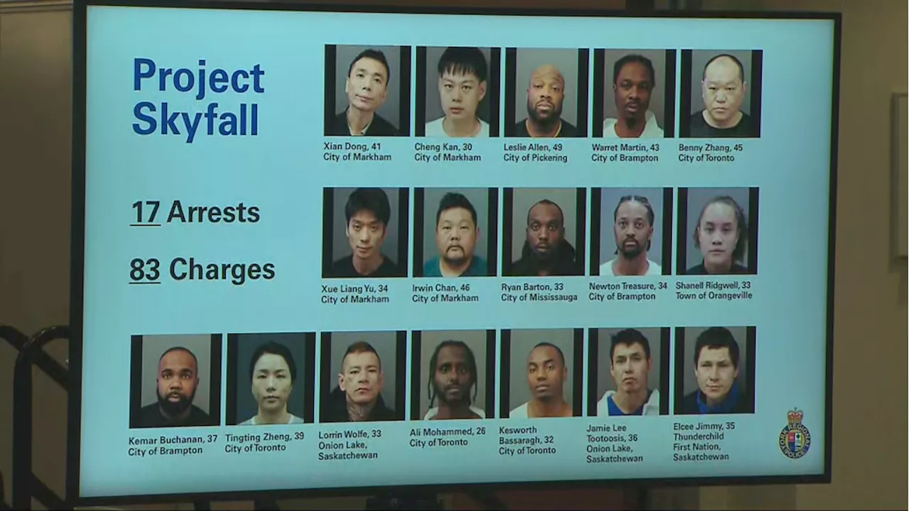 'Project Skyfall': Police north of Toronto arrest 17 suspects allegedly involved in GTA home invasions