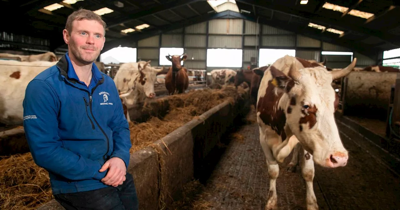 Ayrshire dairy farm says 'time to take our industry back' after Bovaer approval